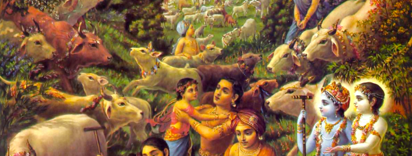 Krishna Nectar Lila 45 – “Gau Vatsa Prema”