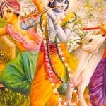 Krishna Nectar Lila 42 – “The Perfect Antidote”