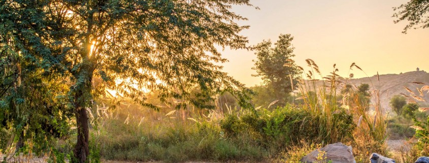 Birth and Growth of a Manjari