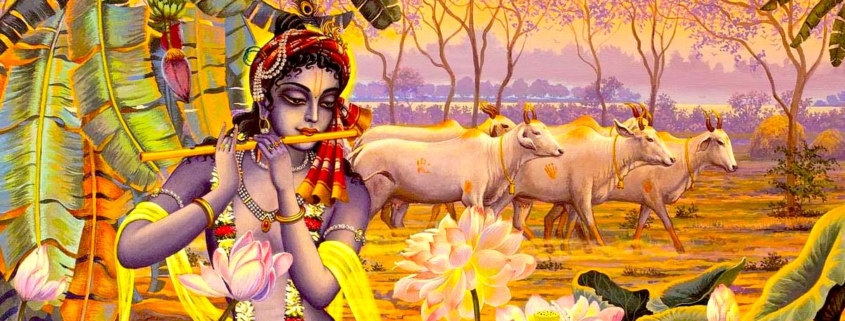 Krishna Nectar Lilas